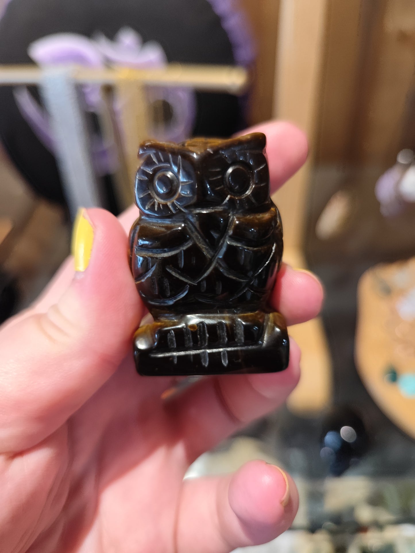 Chouette Oeil de Tigre 2