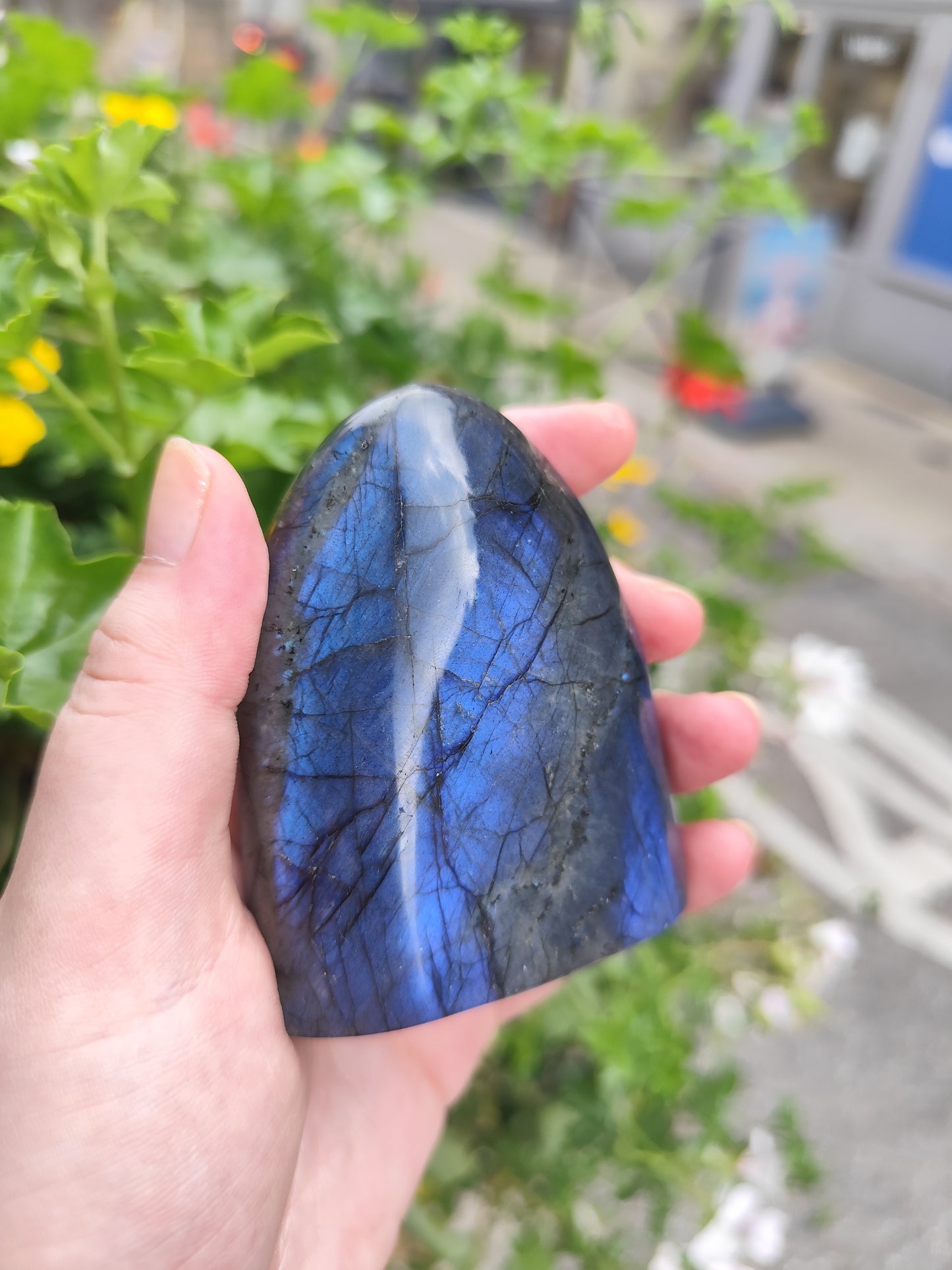 Labradorite