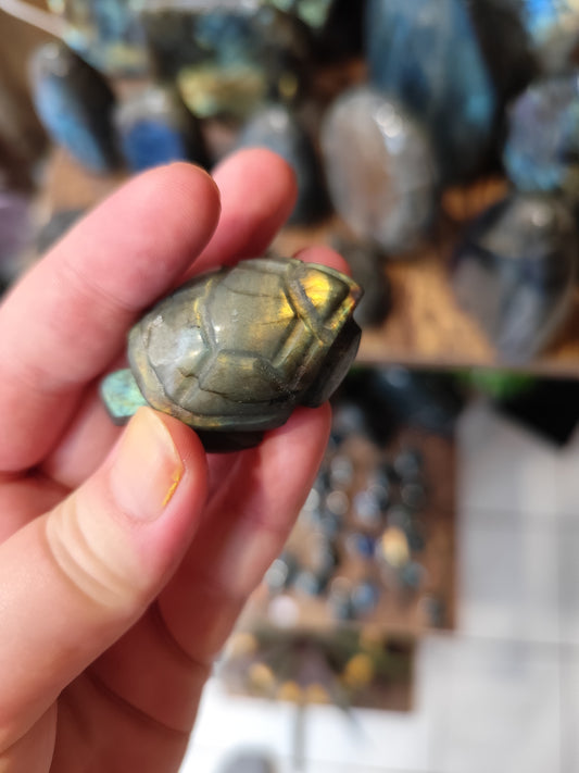 Tortue Labradorite 2