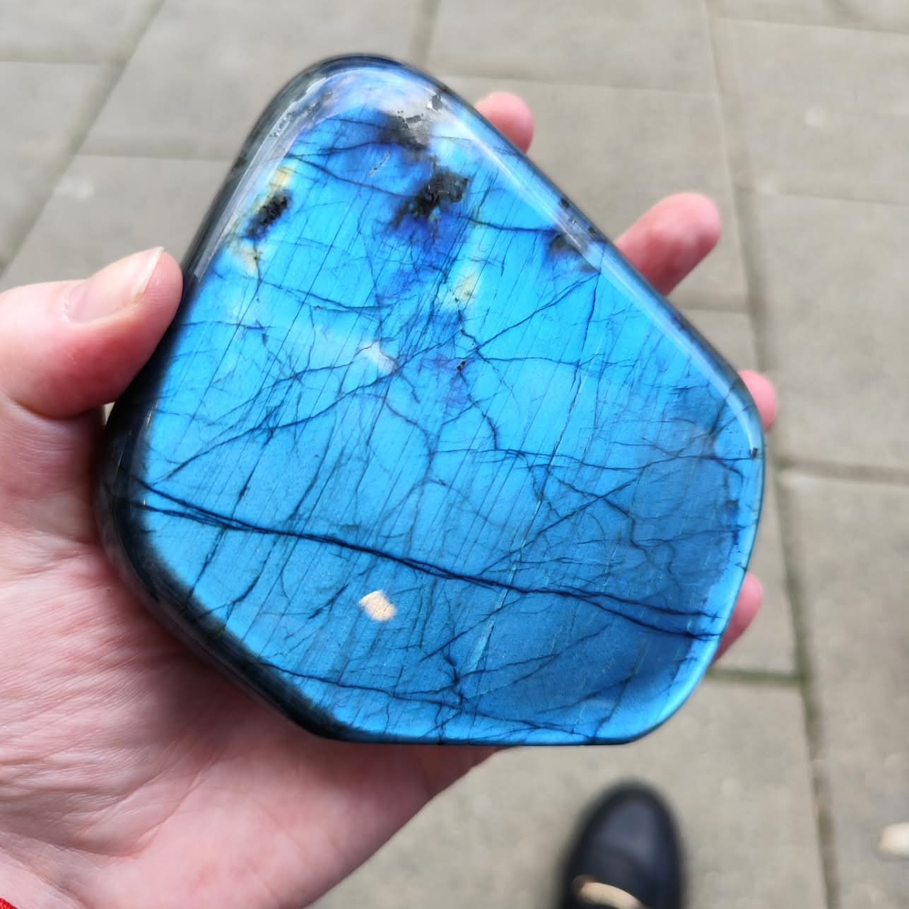 Labradorite ( pièce libre ) bleue